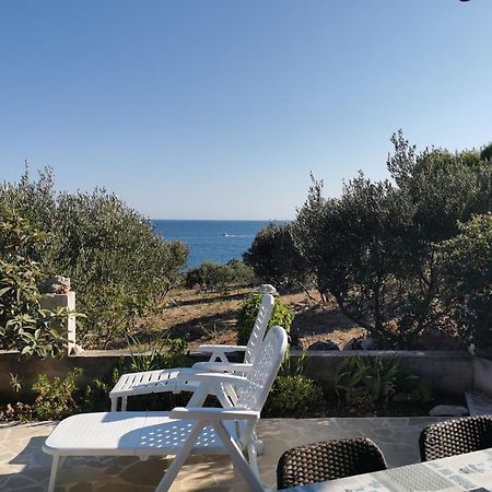 Apartment Goga Sevid Bagian luar foto